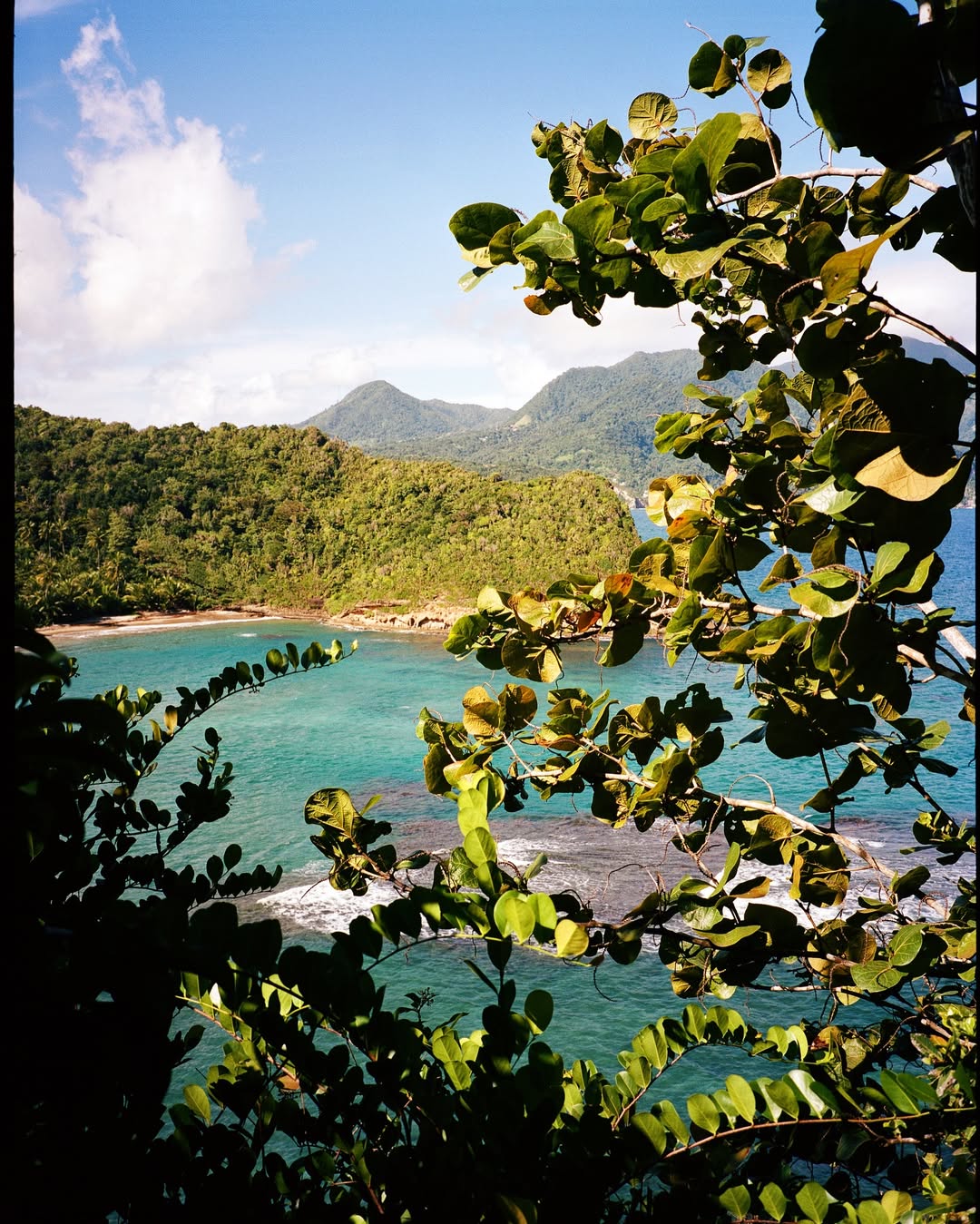 Dominica Coastline
